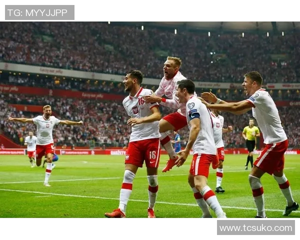 法国与芬兰足球历史交锋战绩分析与回顾